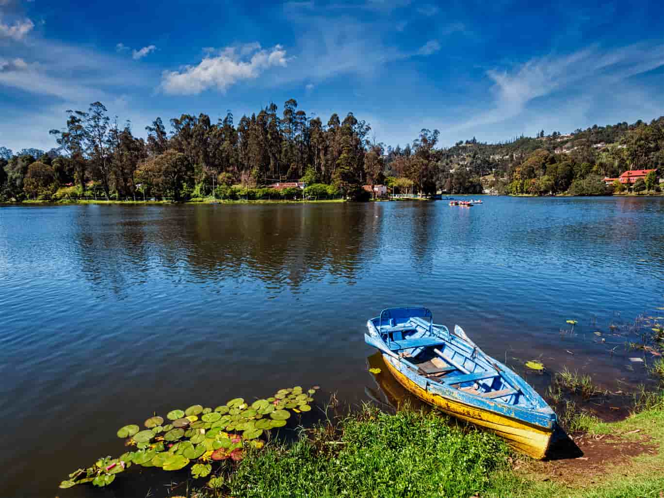 Kodaikanal landscape